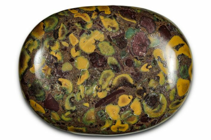 Polished Fruit Jasper Palm Stone - India #342228
